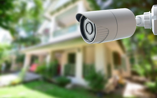 A surveillance camera oversees a garden.