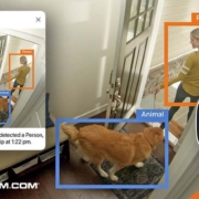 An Alarm.com security system identifies a person and a dog walking out the door.