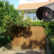 A surveillance camera overlooking a backyard.